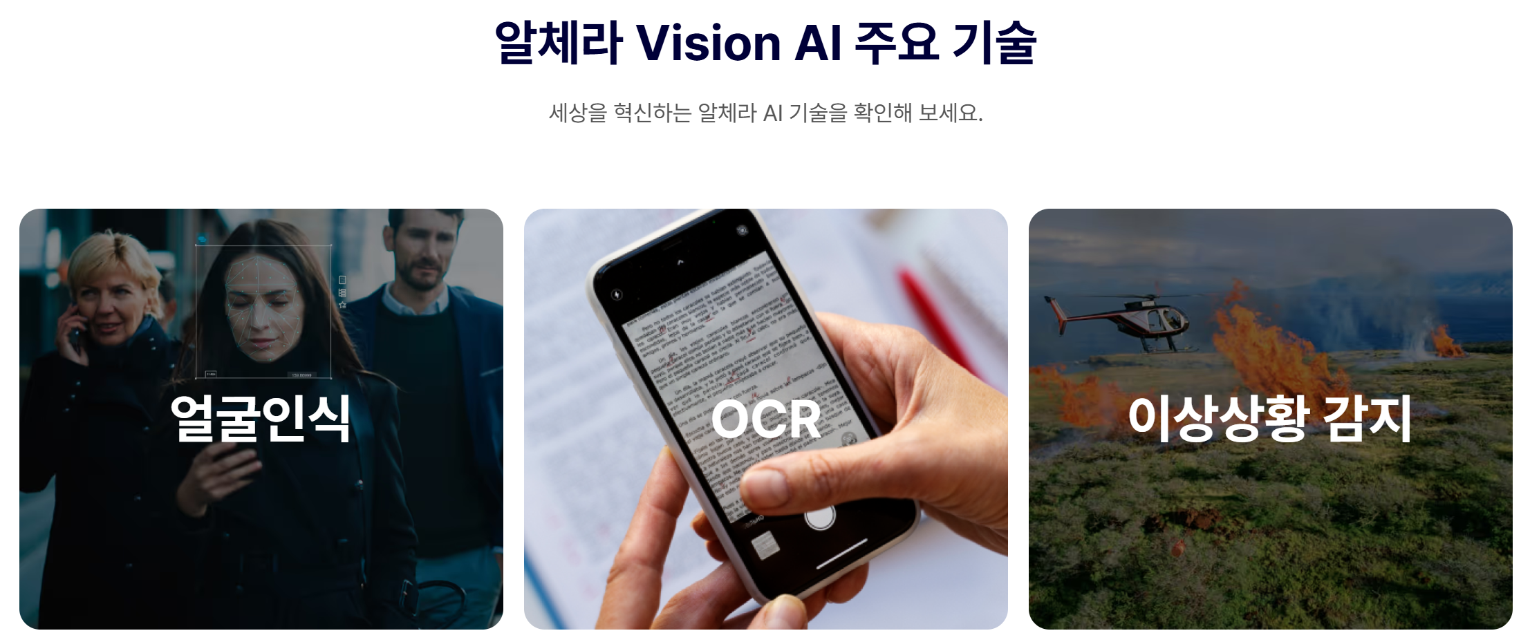Alchera 주요 Vision AI 활용처